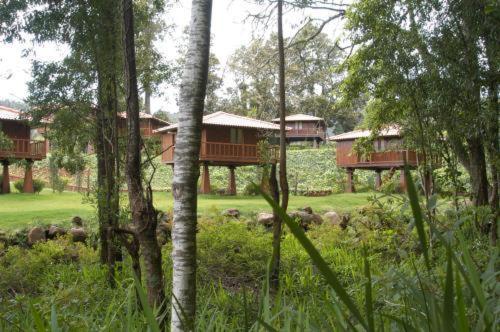 Quinta Das Eiras Santo Antonio da Serra Kültér fotó