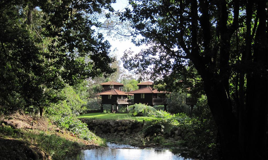 Quinta Das Eiras Santo Antonio da Serra Kültér fotó