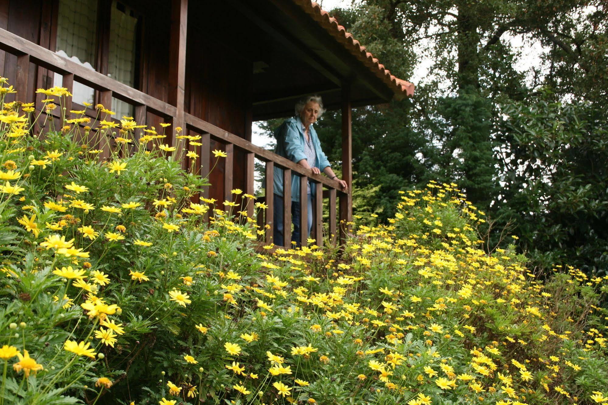 Quinta Das Eiras Hotel Santo Antonio da Serra Kültér fotó