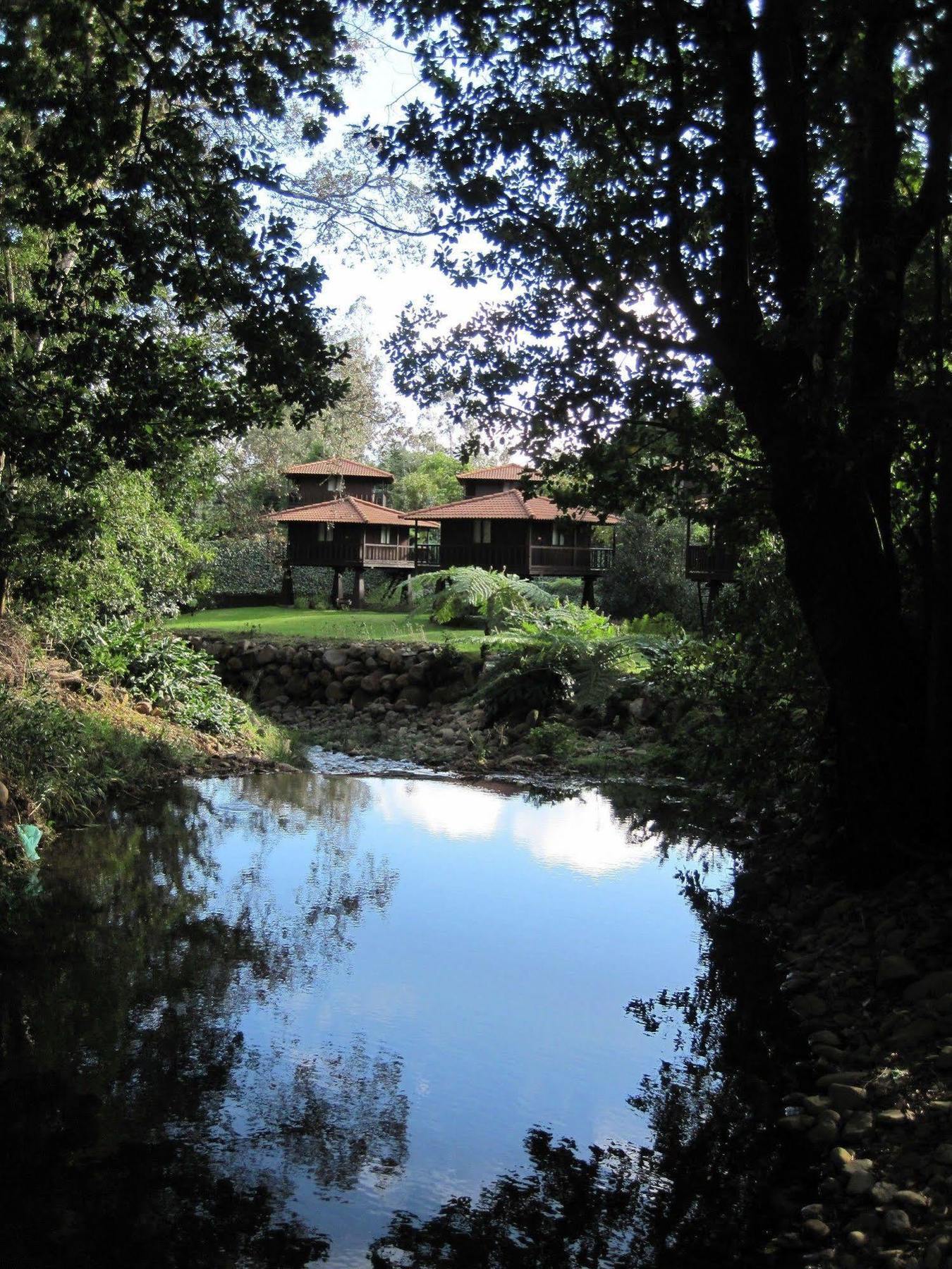 Quinta Das Eiras Santo Antonio da Serra Kültér fotó